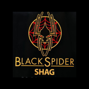 ブラックスパイダー