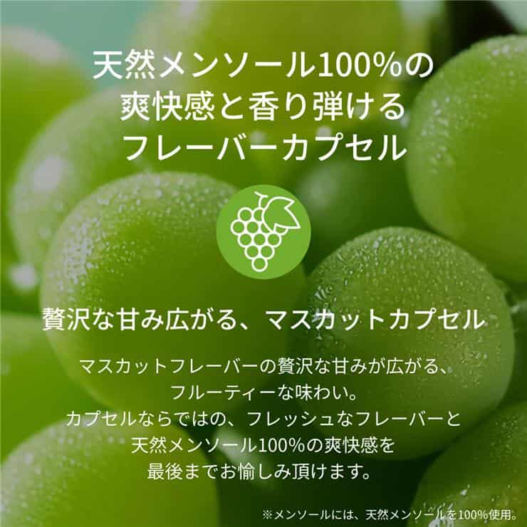 【カートン】加熱式たばこ メビウス マスカット オプション プルーム用