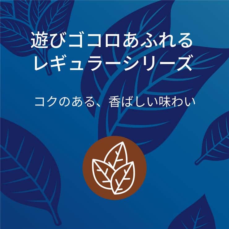 【カートン】加熱式たばこ キャメル・リッチ・プルーム用