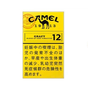 【カートン】キャメル クラフト 12 ボックス