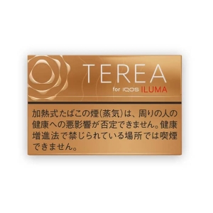 【カートン】テリア ウォームレギュラー Ｅ